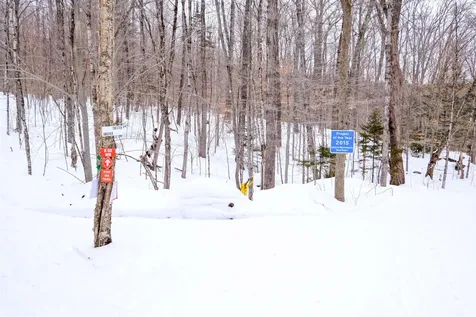 0 Markham Mountain Road Andover VT 05143