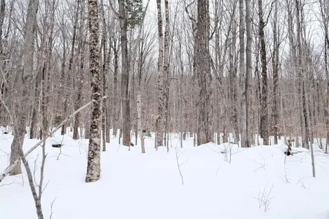 0 Markham Mountain Road Andover VT 05143