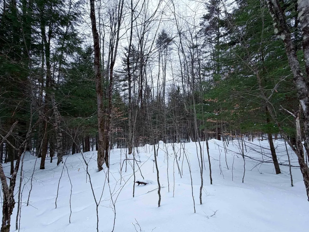 0 Town House Road Cornish NH 03745