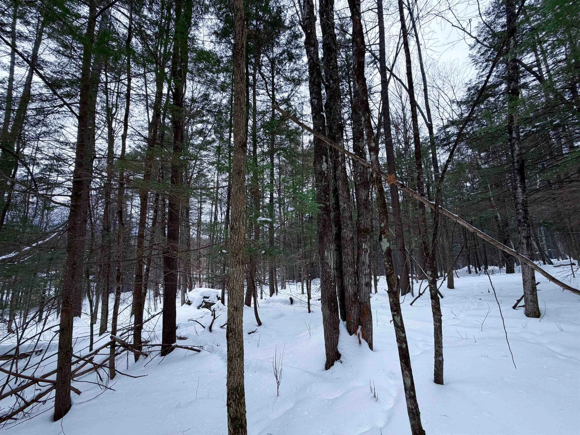 0 Town House Road Cornish NH 03745