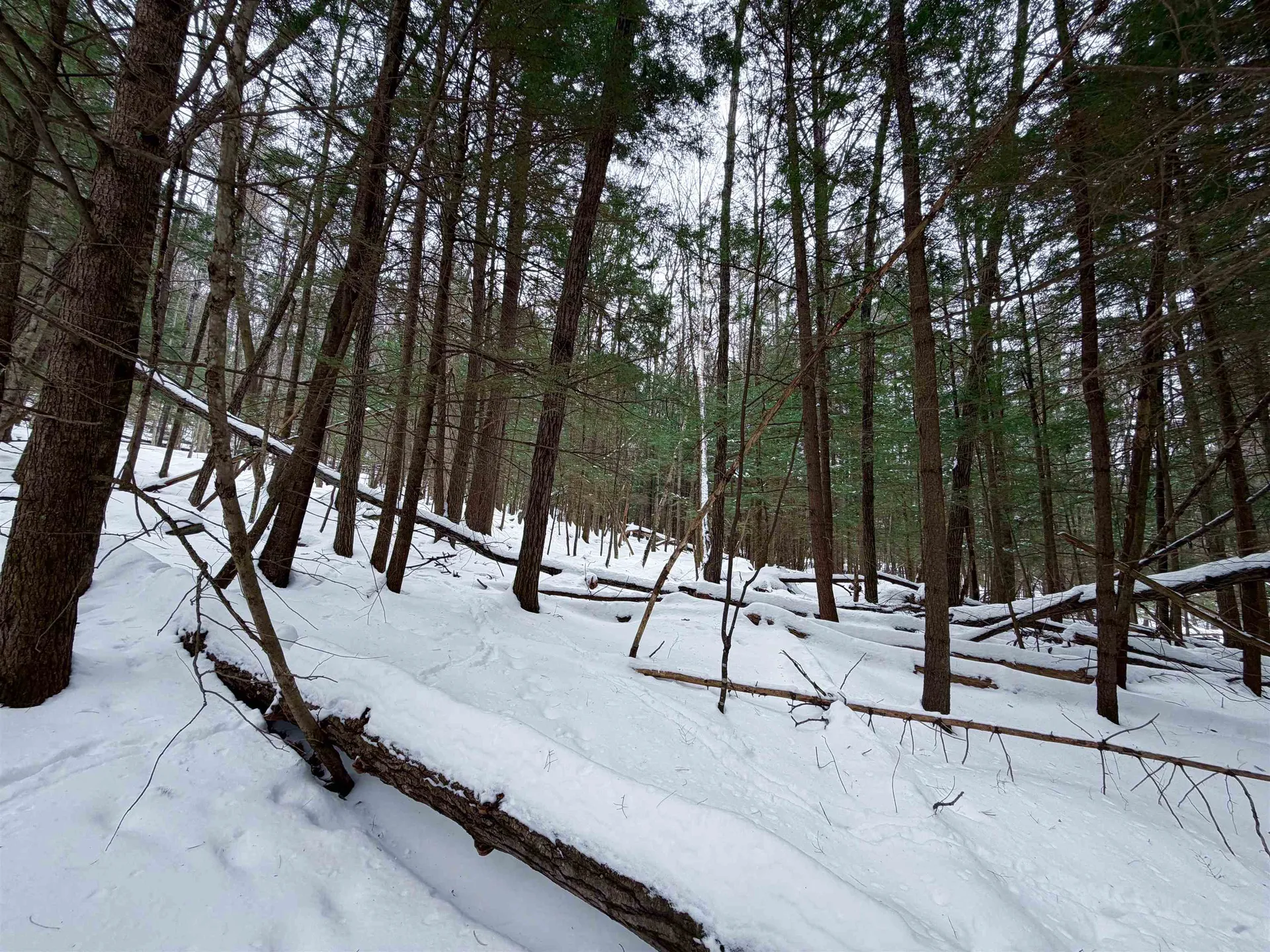 0 Town House Road Cornish NH 03745