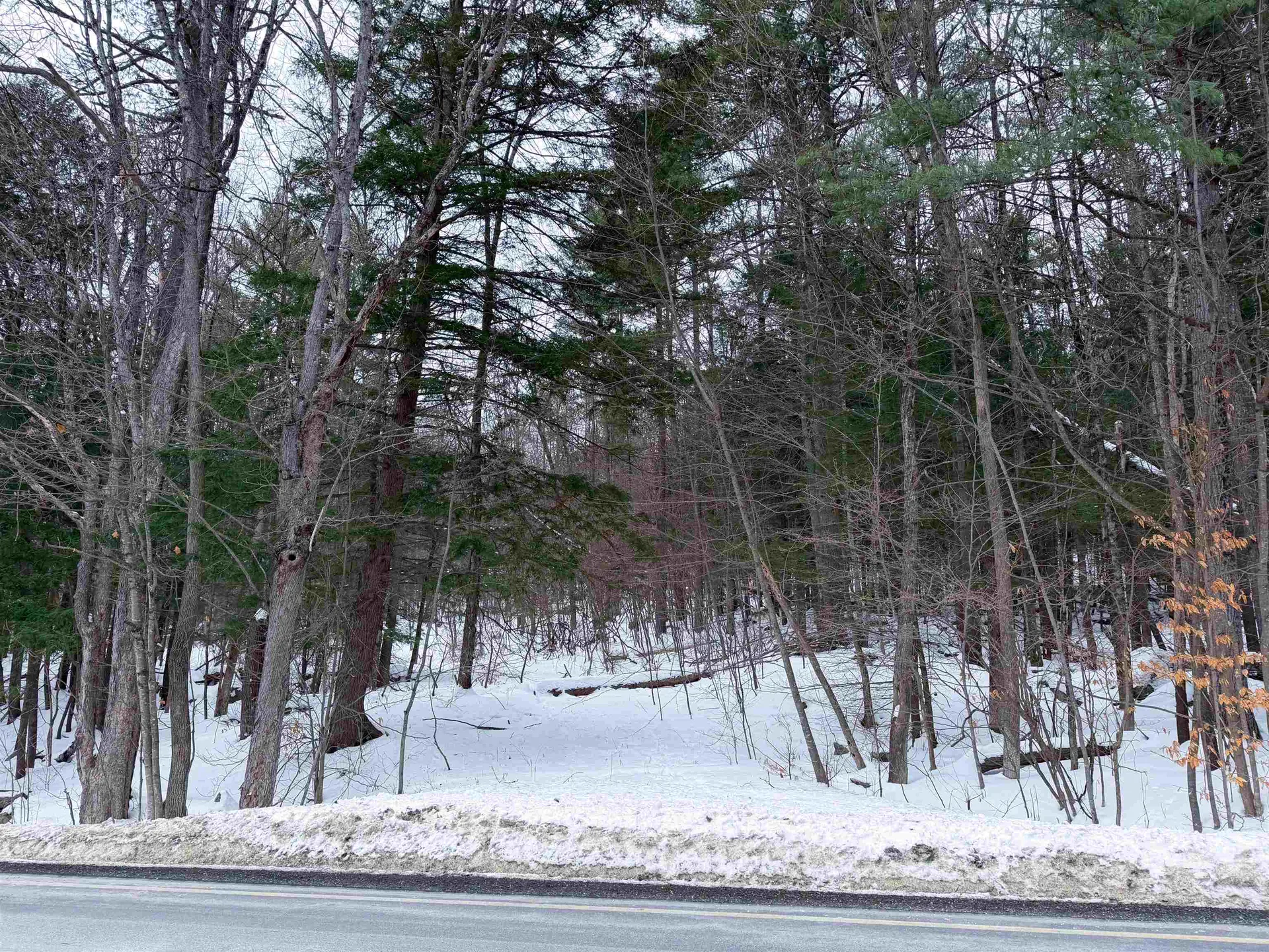 0 Town House Road Cornish NH 03745