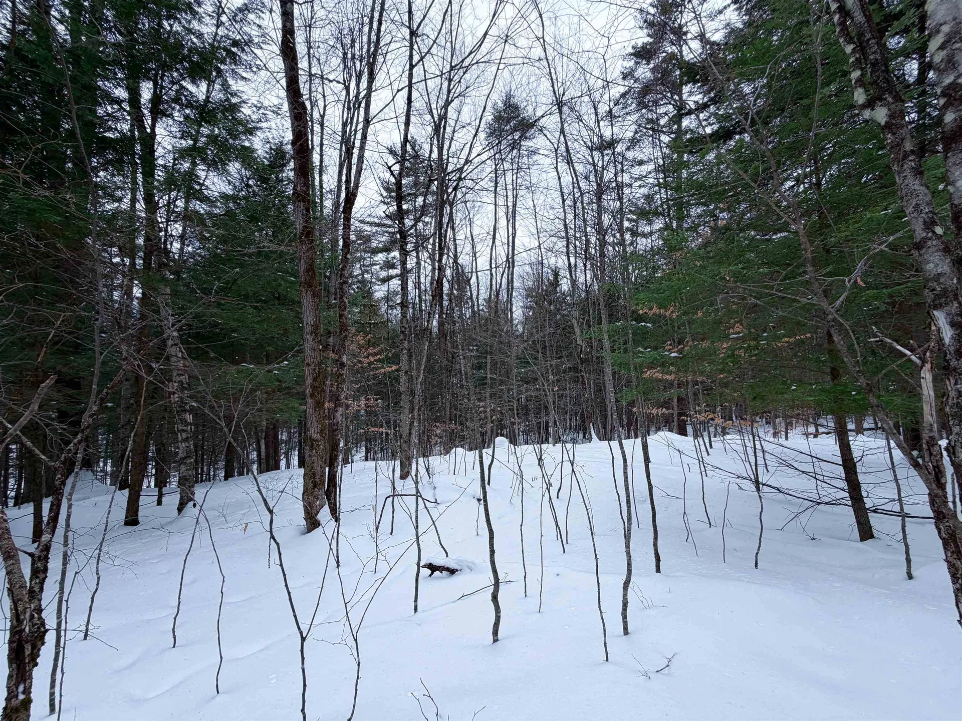 0 Town House Road Cornish NH 03745