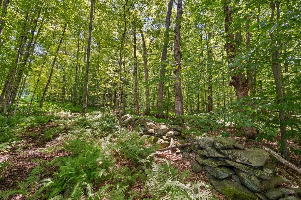 30 Black Walnut Lane Jericho VT 05465