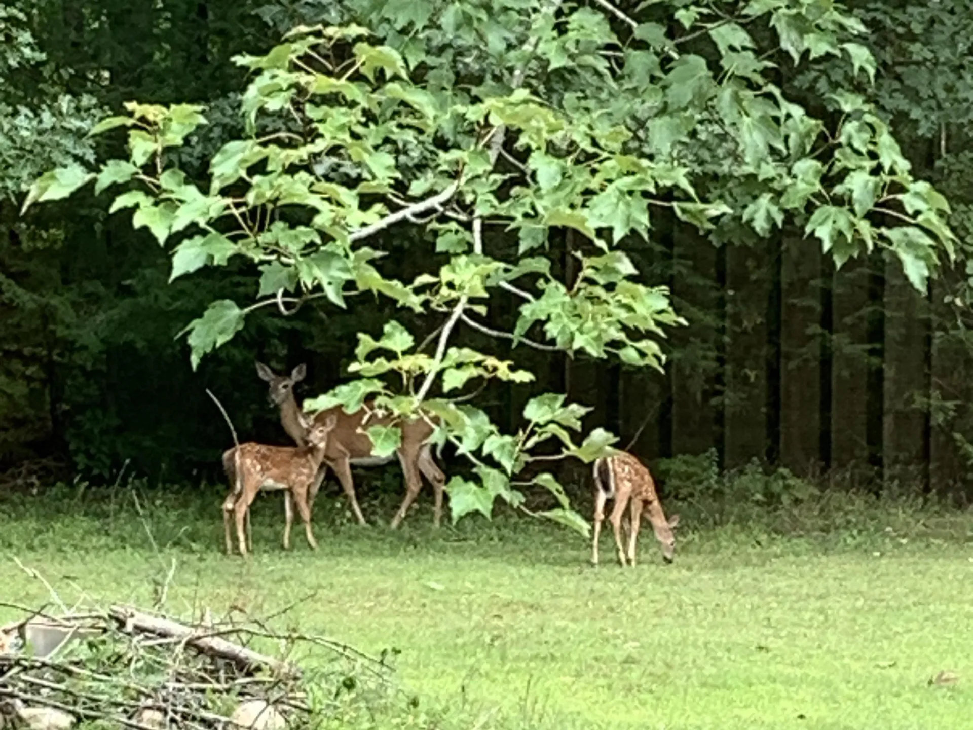 149 Golden Circle Drive Farmington NH 03835