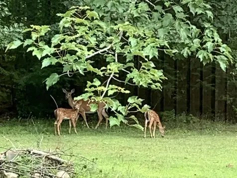 149 Golden Circle Drive Farmington NH 03835