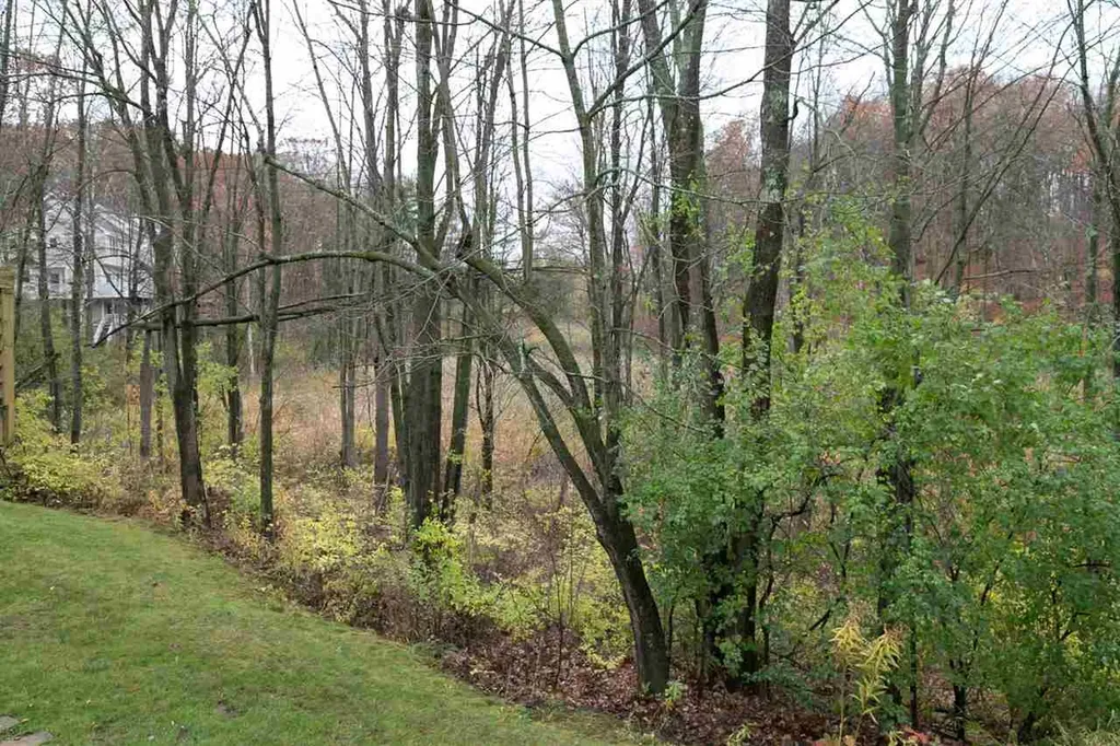 297 Juniper Drive South Burlington VT 05403