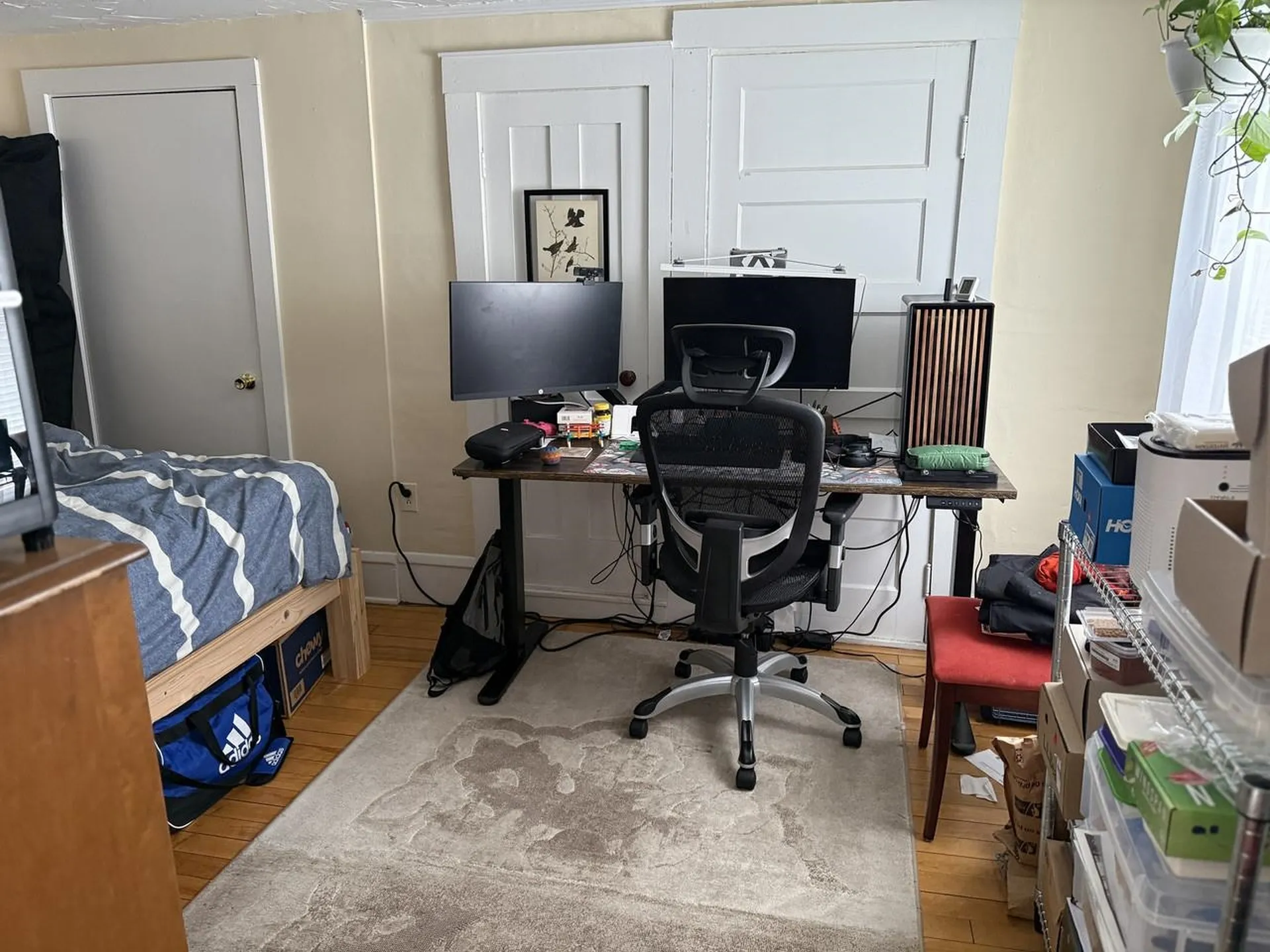 114 South Champlain Street Burlington VT 05401