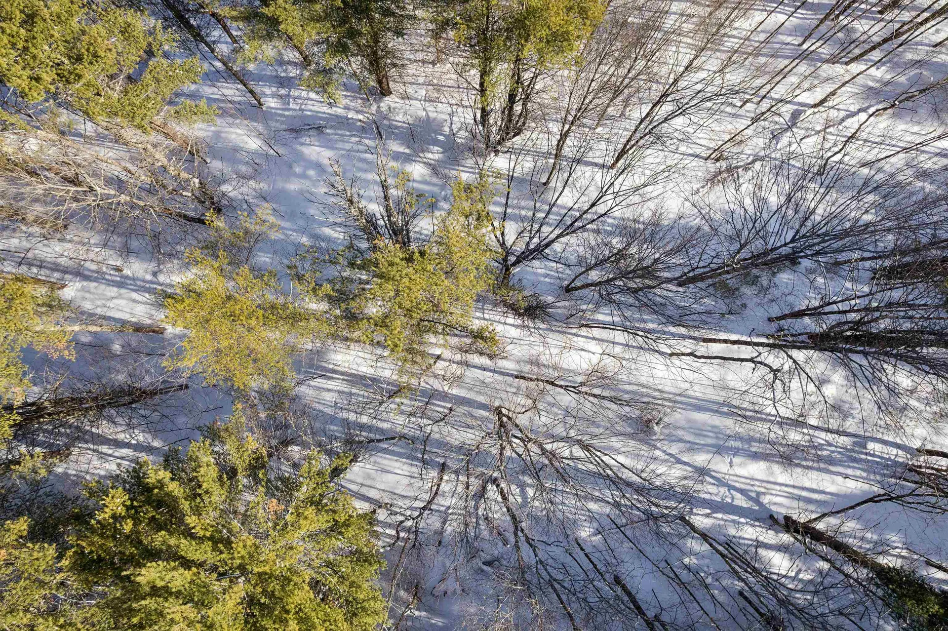 153 Russell Road Tunbridge VT 05077