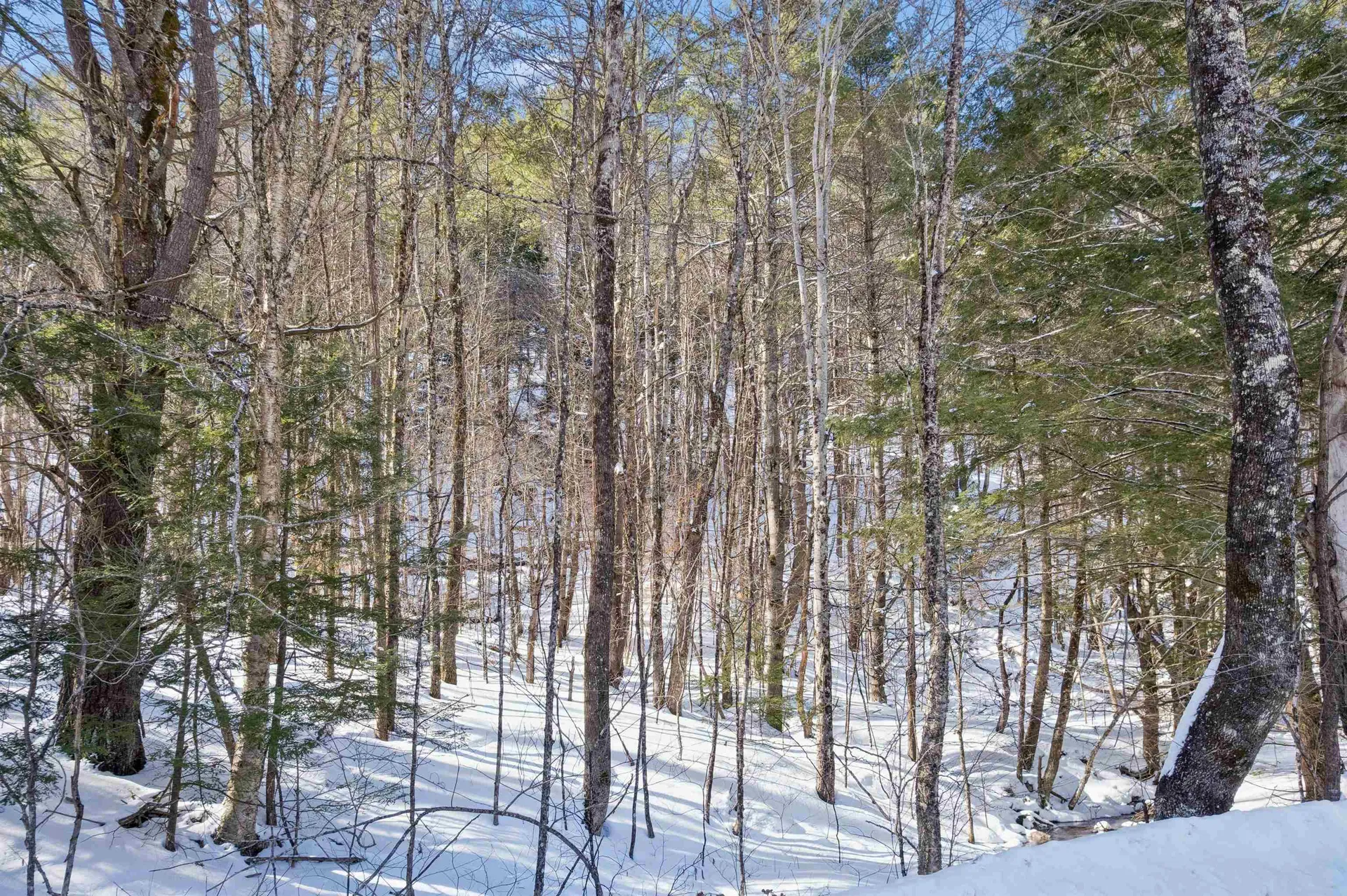 153 Russell Road Tunbridge VT 05077