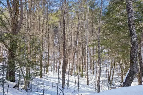 153 Russell Road Tunbridge VT 05077