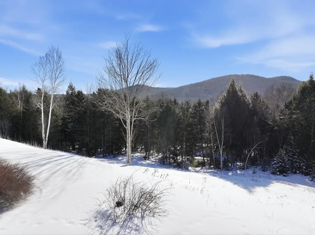 513 Deer Brook Way Woodstock VT 05091