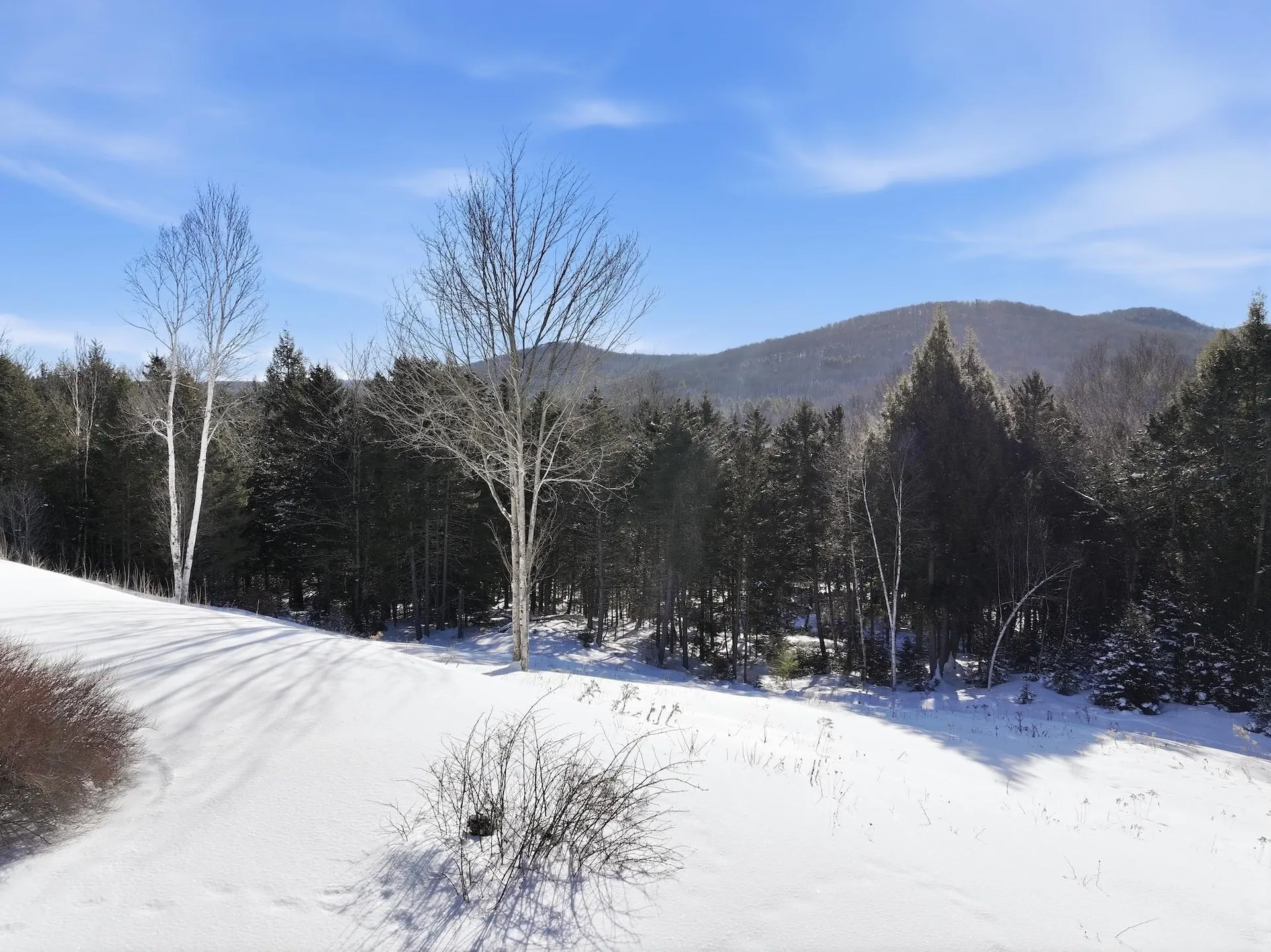 513 Deer Brook Way Woodstock VT 05091