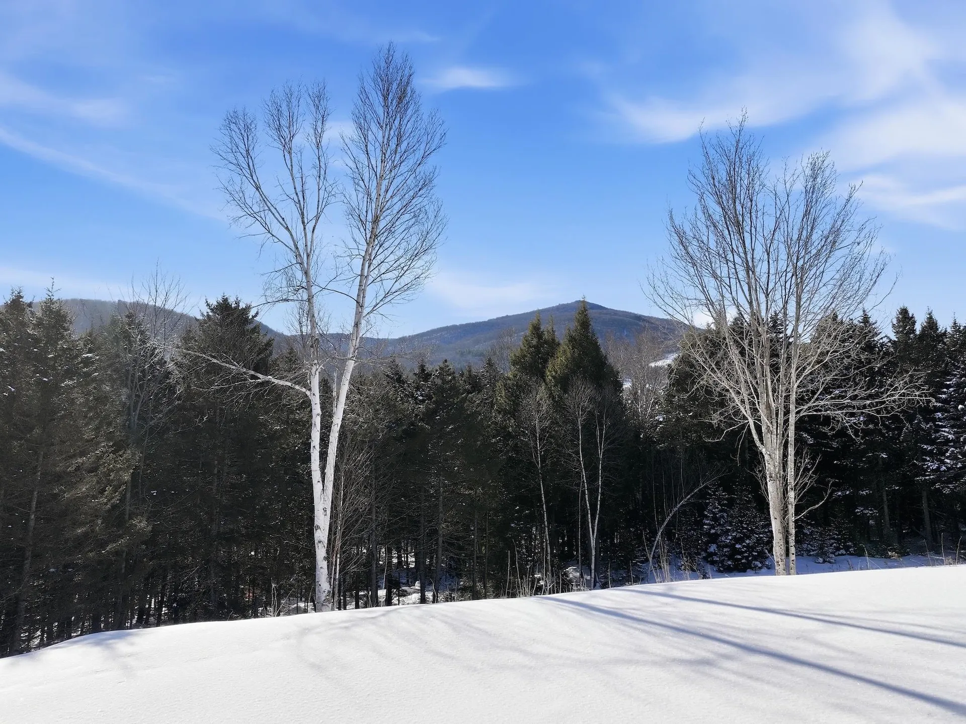 513 Deer Brook Way Woodstock VT 05091