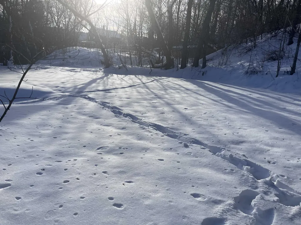 90 Brook Street Barre City VT 05641