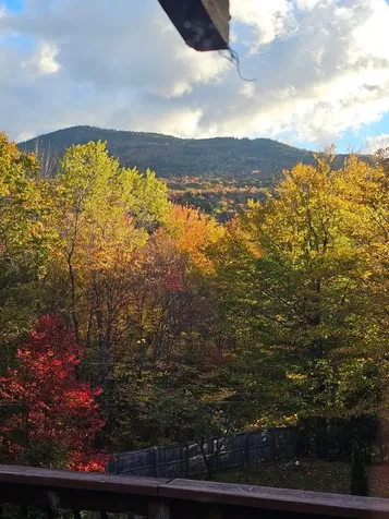 21 Dodge Road Groton NH 03040