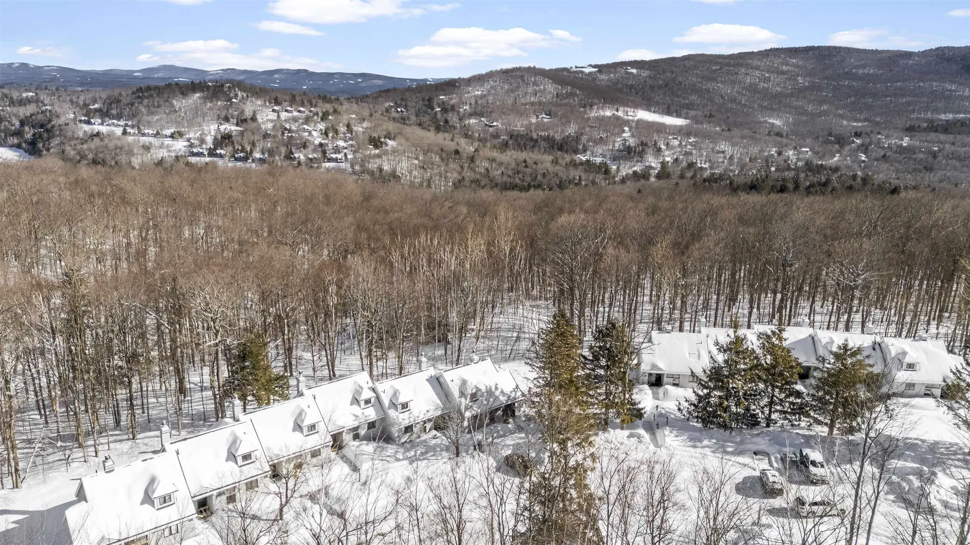 22 High Point Drive Stratton VT 05155