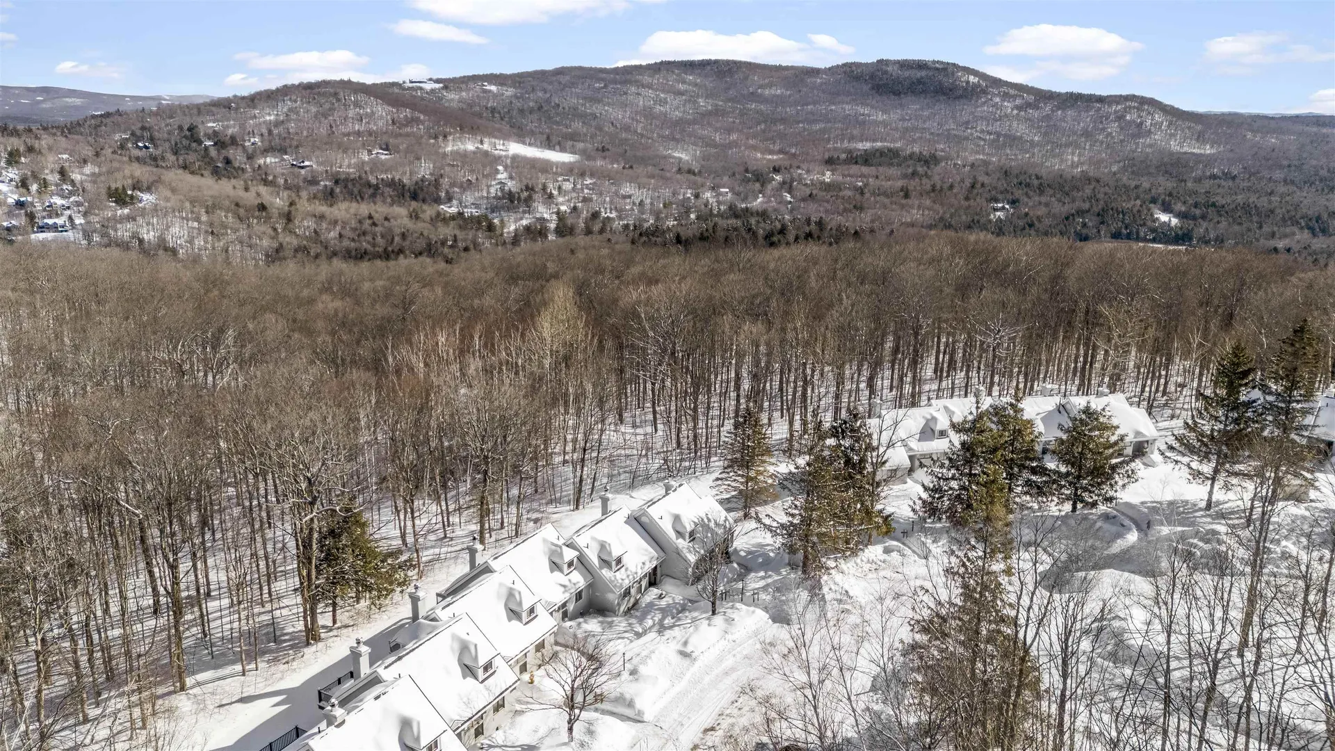 22 High Point Drive Stratton VT 05155