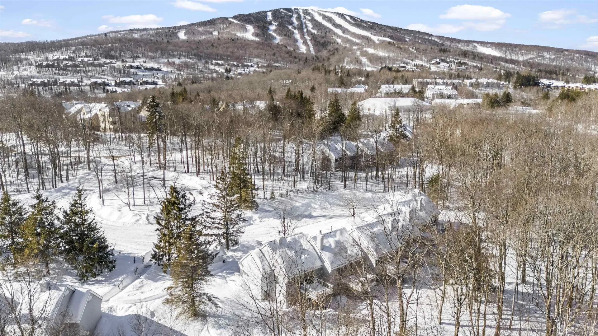 22 High Point Drive Stratton VT 05155