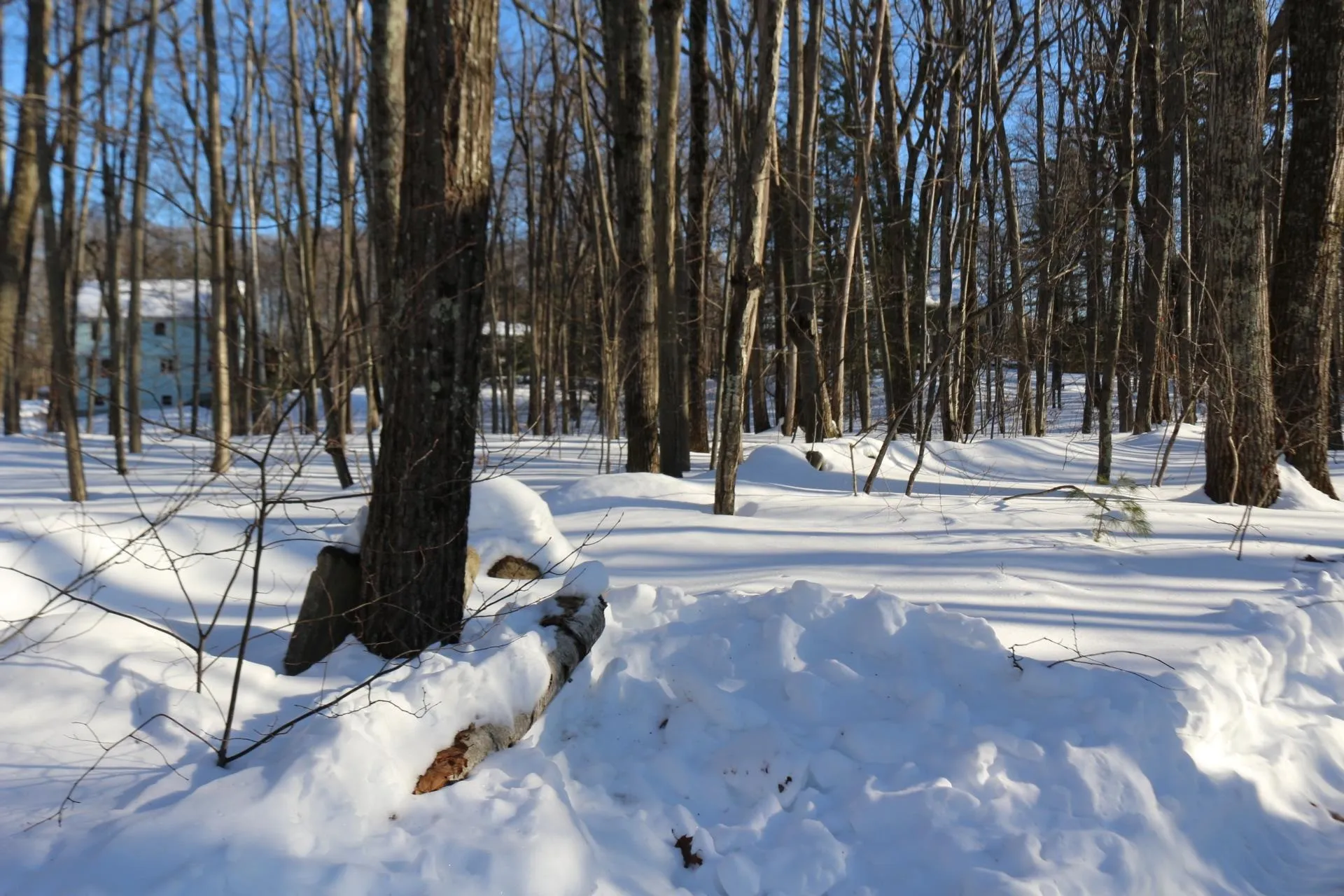 263 Central Street Hampstead NH 03826-2440