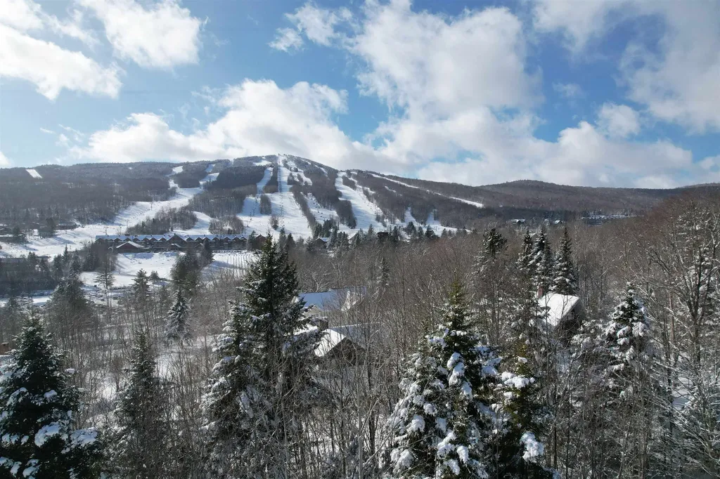 5 Pinnacle View Road Dover VT 05356