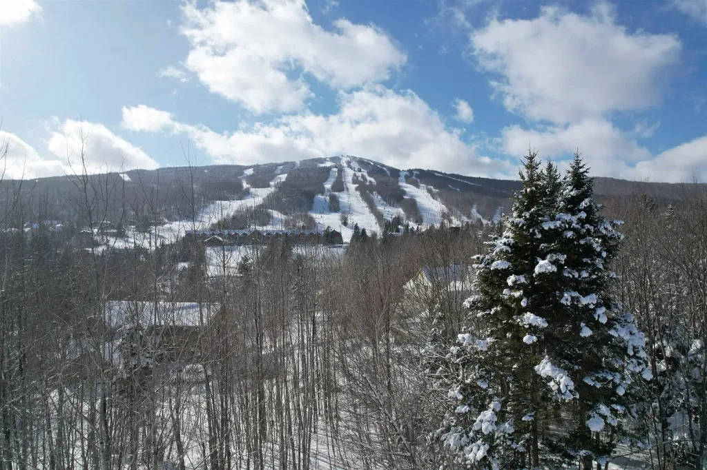 5 Pinnacle View Road Dover VT 05356