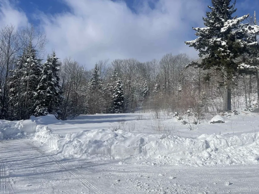 5 Pinnacle View Road Dover VT 05356