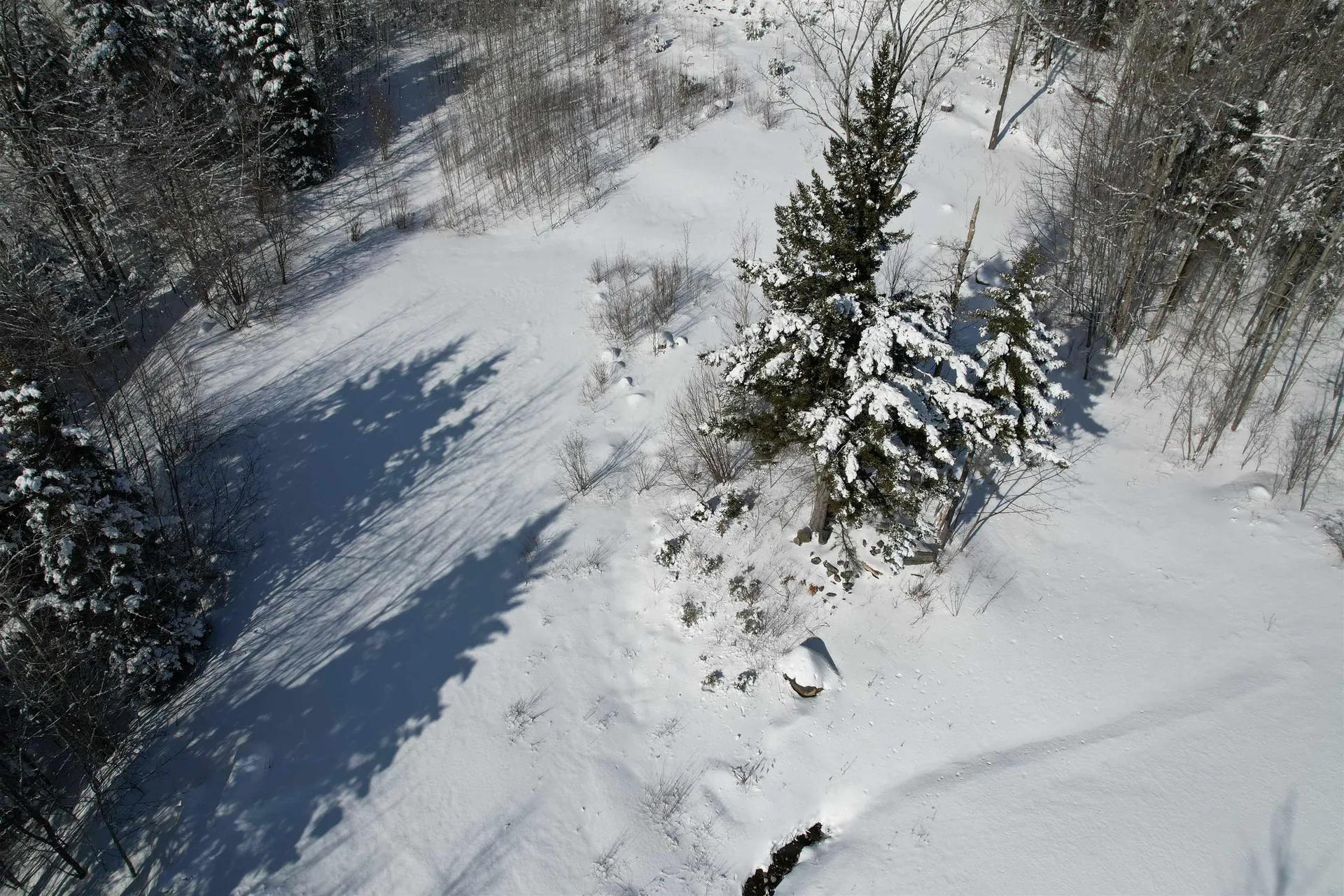 5 Pinnacle View Road Dover VT 05356