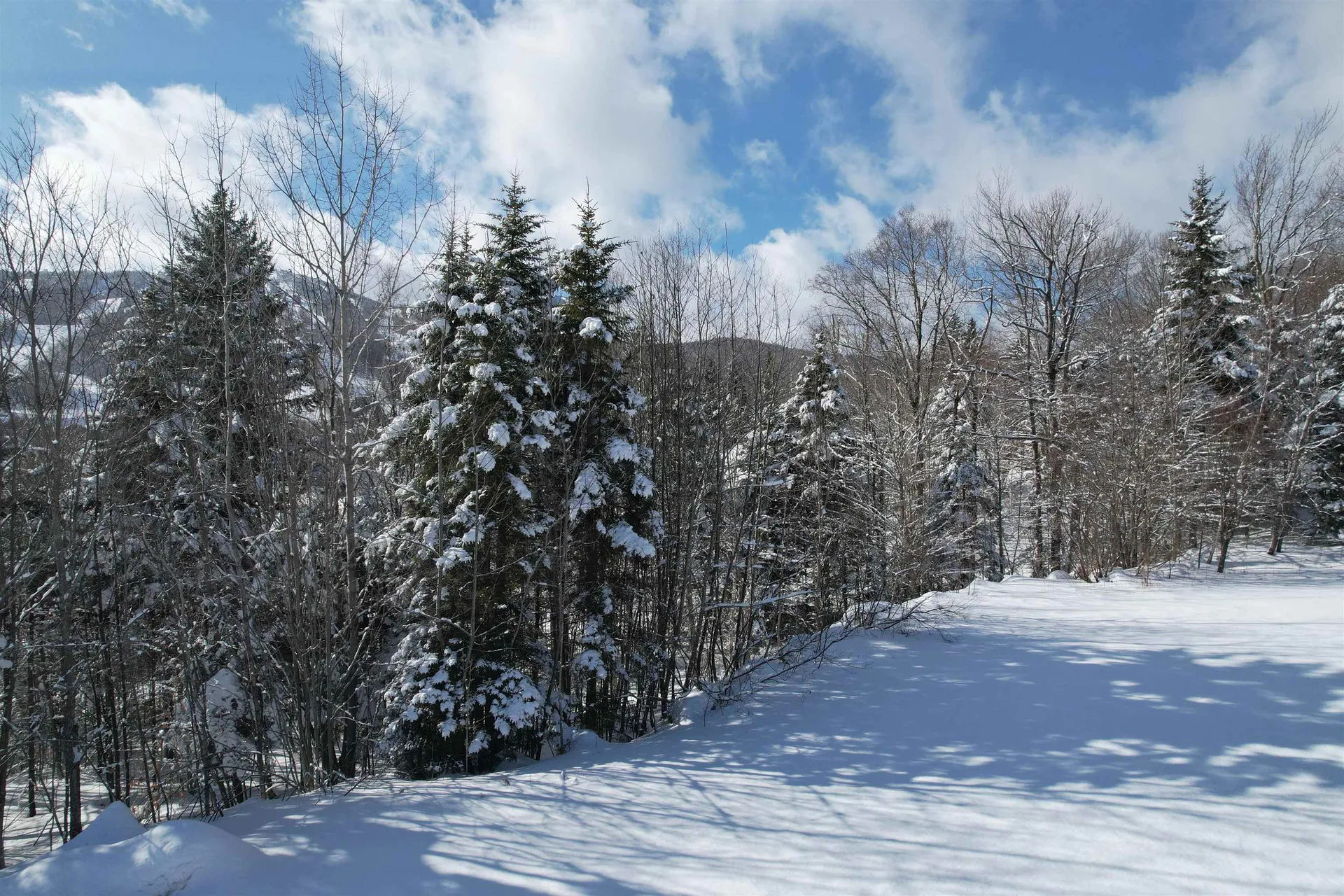 5 Pinnacle View Road Dover VT 05356