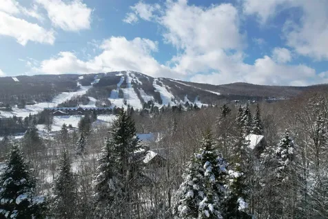 5 Pinnacle View Road Dover VT 05356