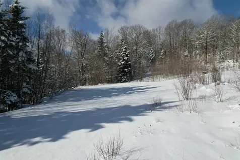 5 Pinnacle View Road Dover VT 05356