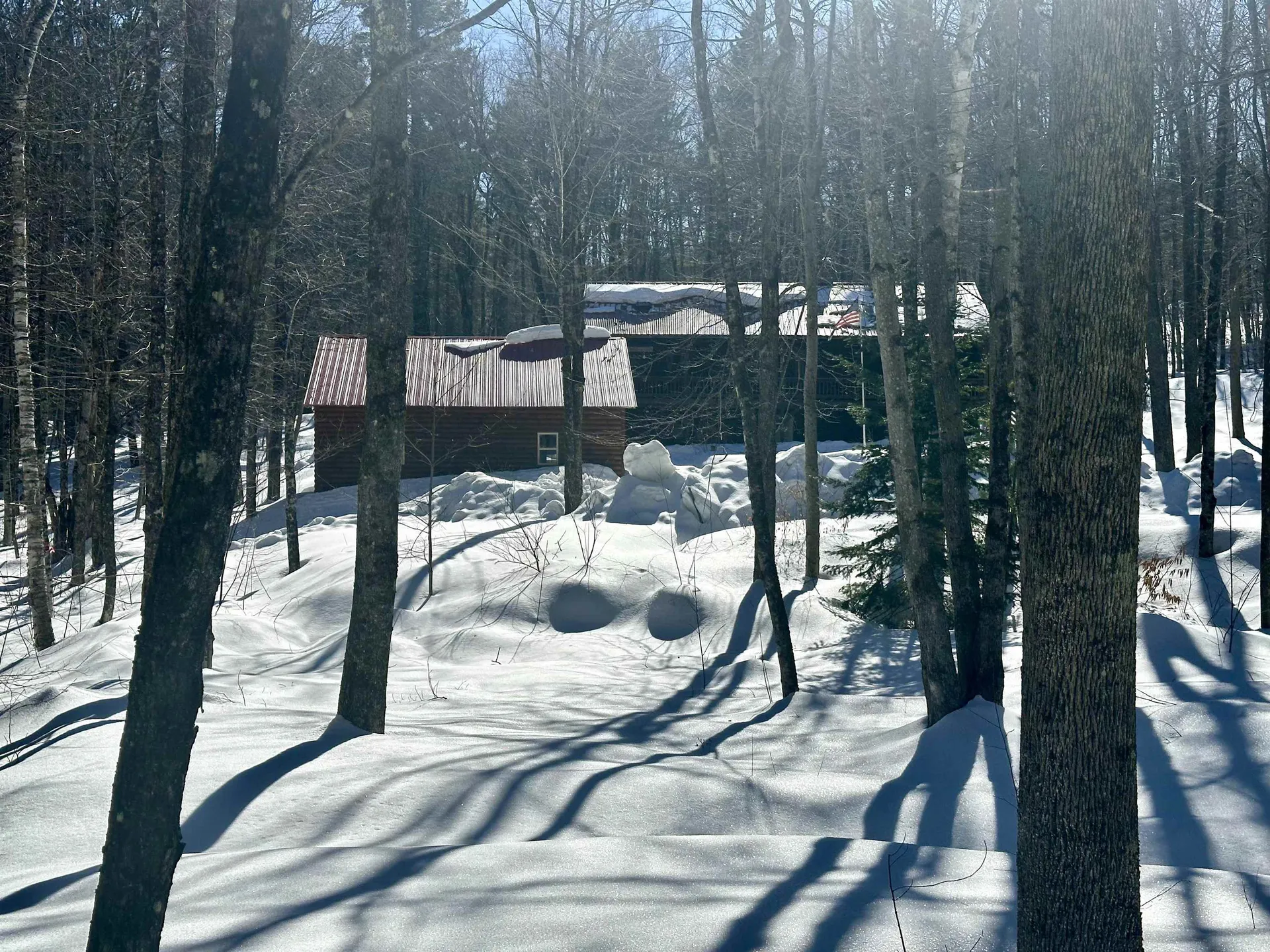 4138 West Hill Road S Jamaica VT 05343