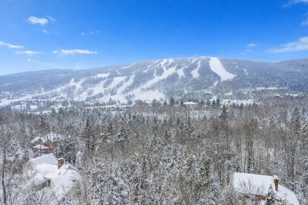 1 Lower Highlands Road Dover VT 05356