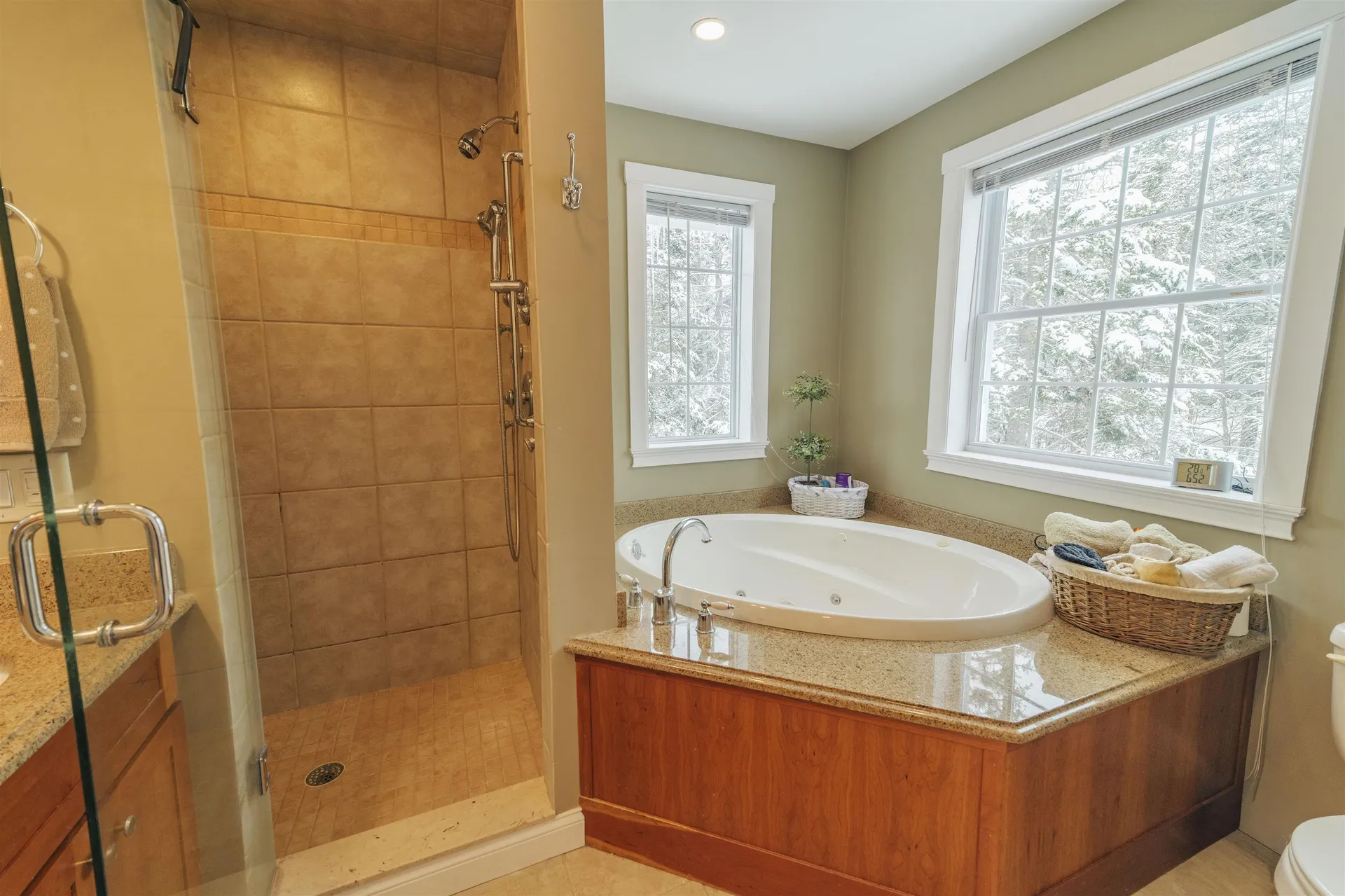 1 Lower Highlands Road Dover VT 05356