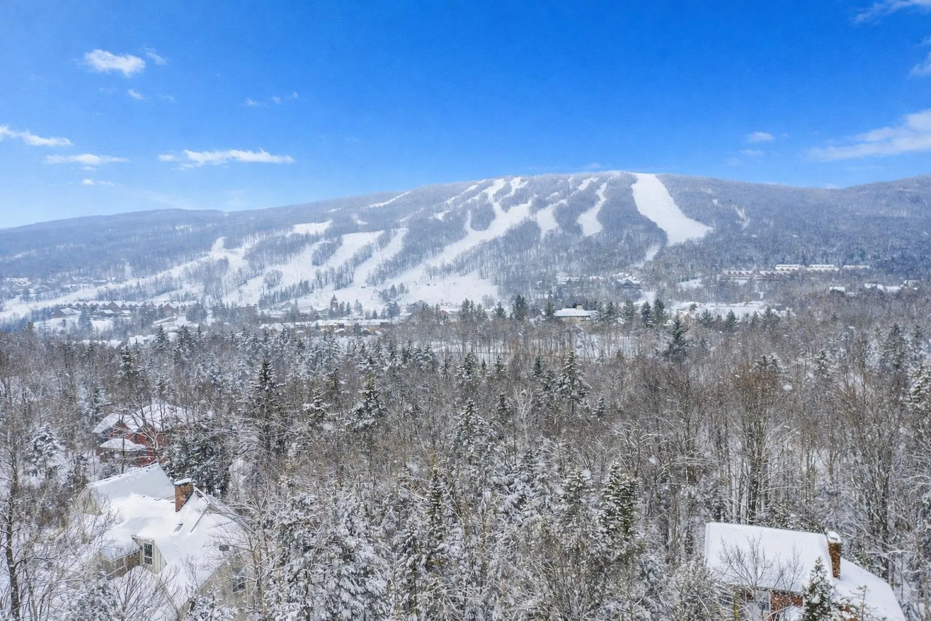 1 Lower Highlands Road Dover VT 05356