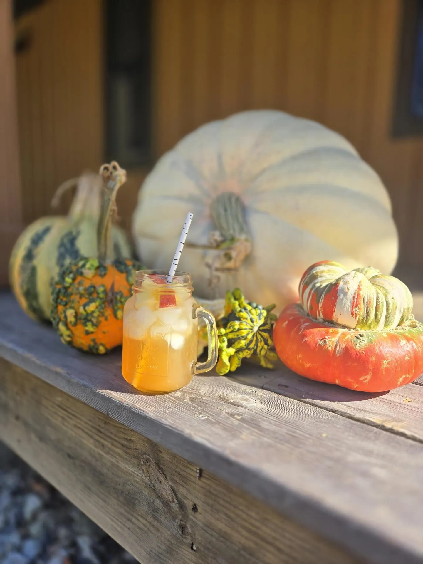 11 Deer Path Lane Ludlow VT 05149