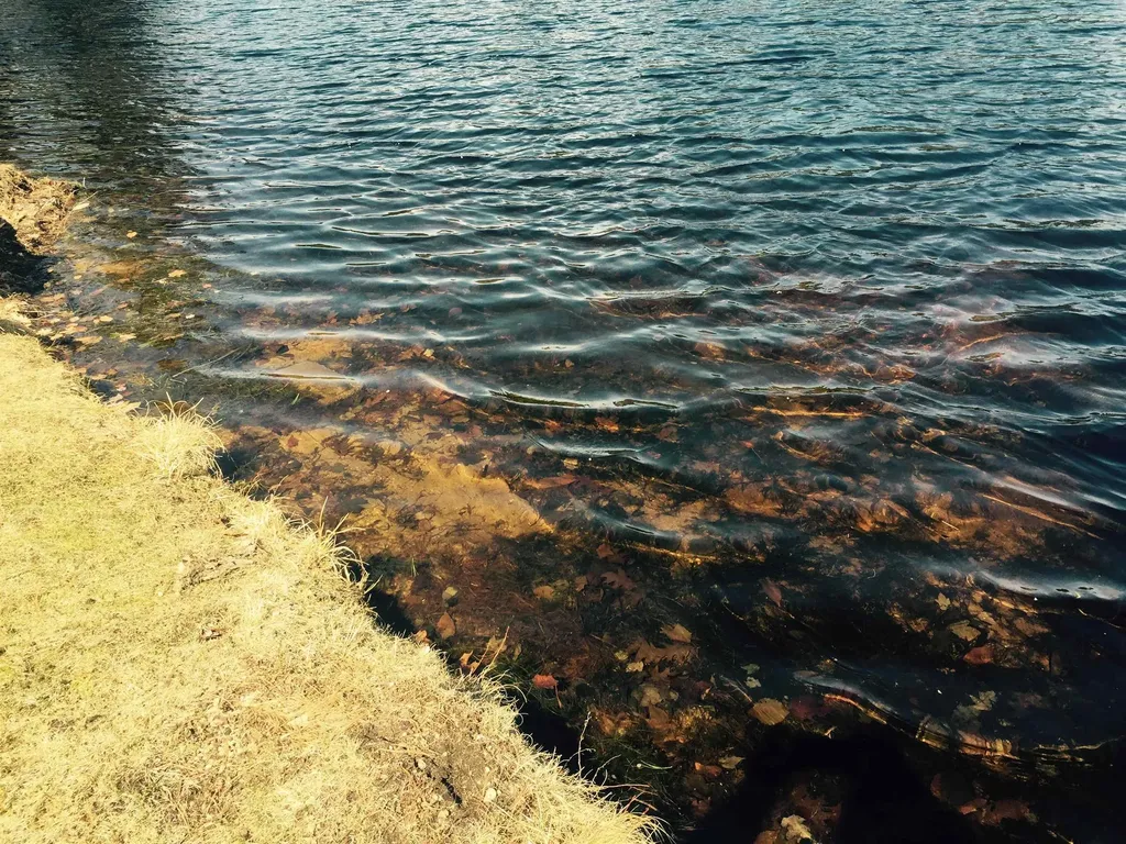 39 Pine Road Fitzwilliam NH 03447