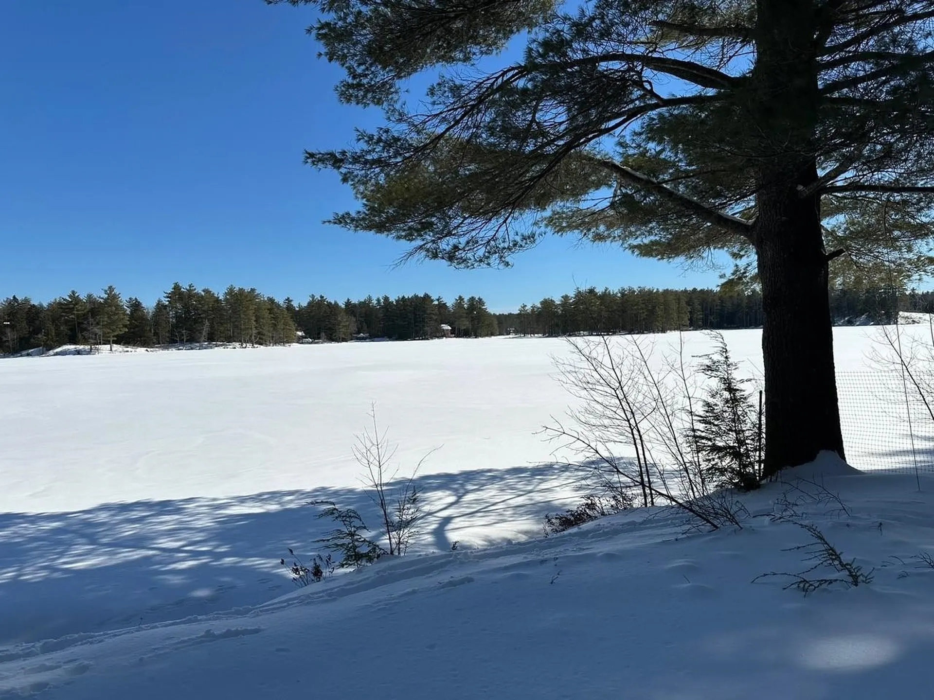 39 Pine Road Fitzwilliam NH 03447