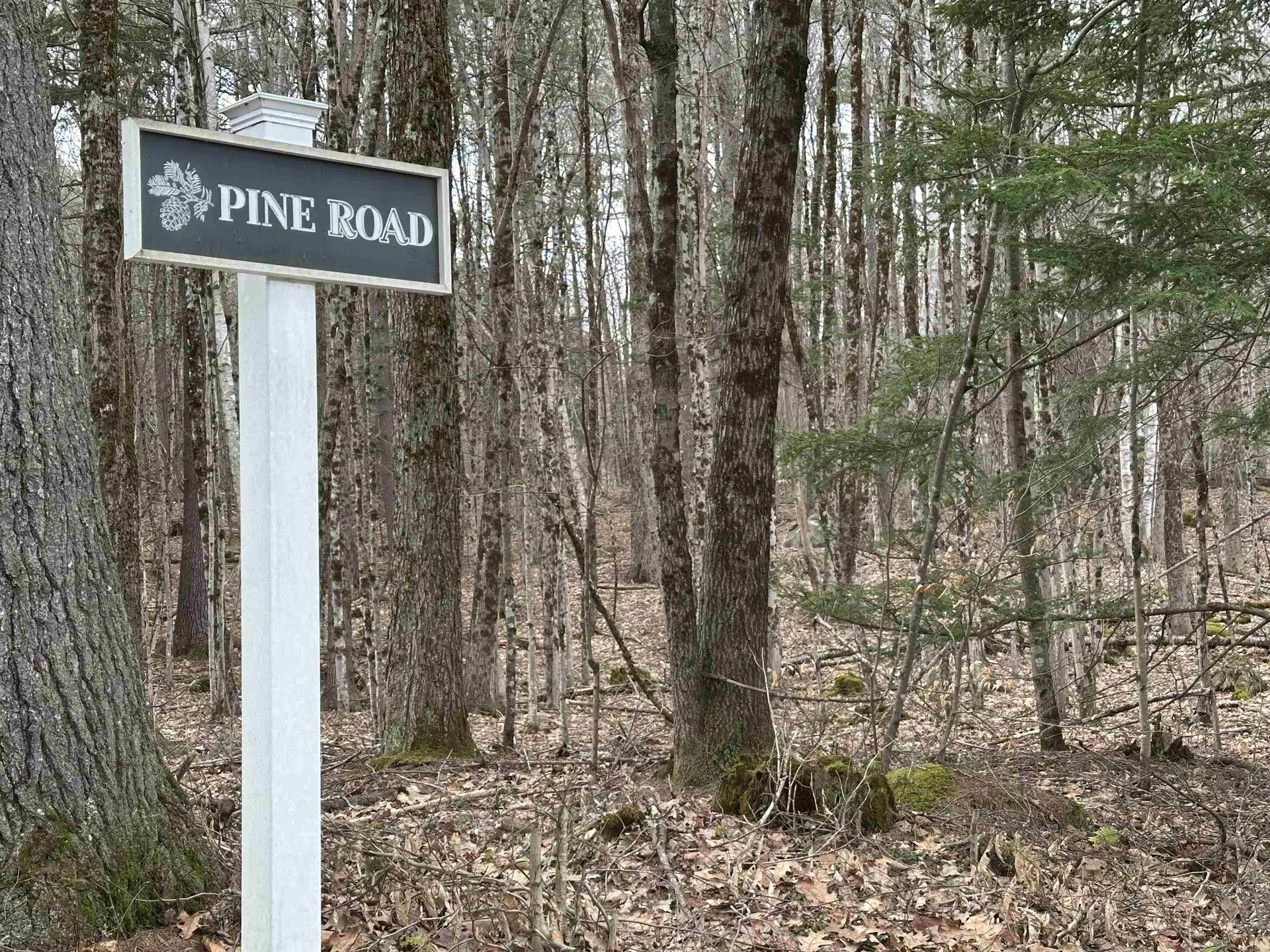 39 Pine Road Fitzwilliam NH 03447