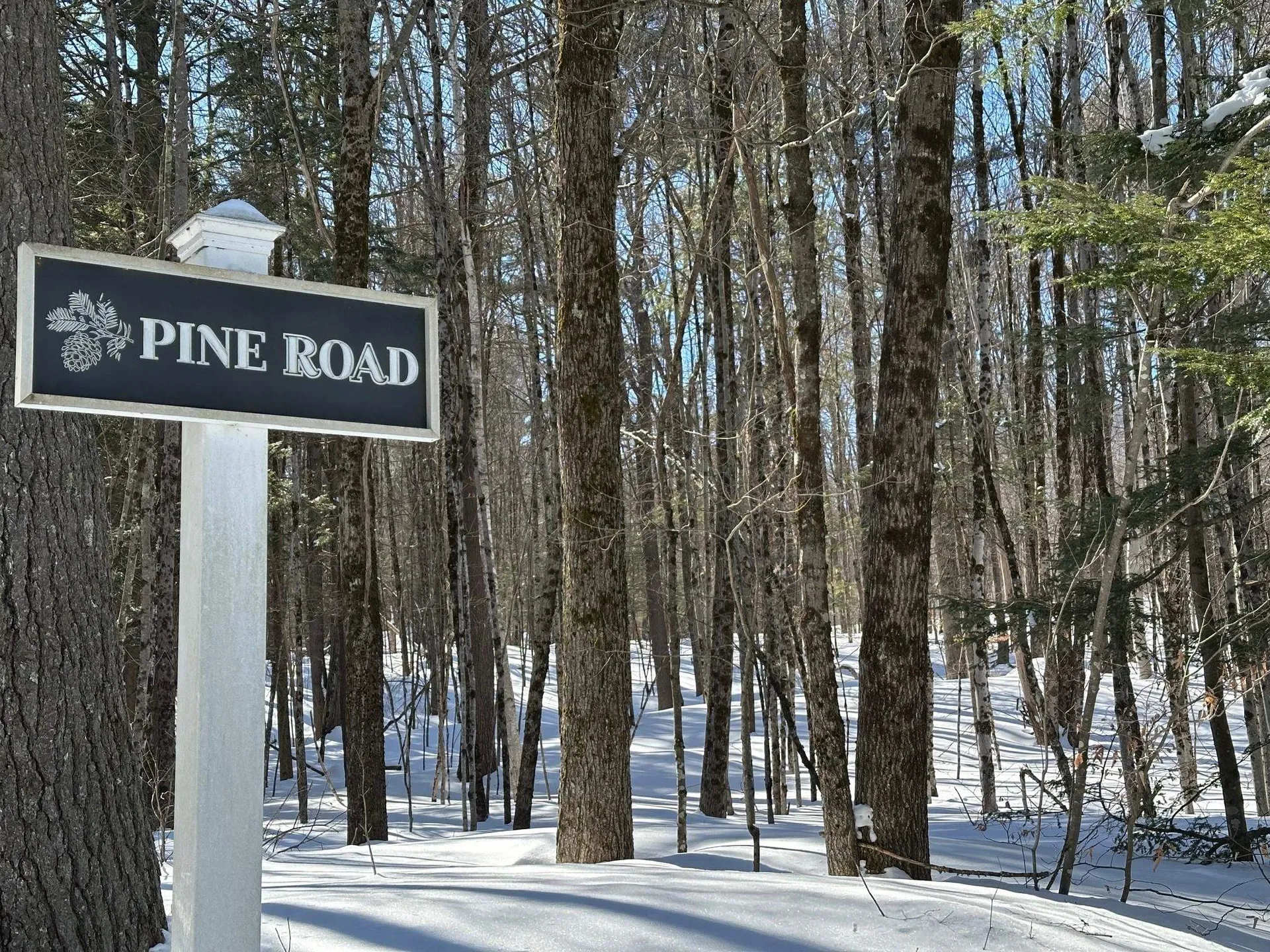 39 Pine Road Fitzwilliam NH 03447