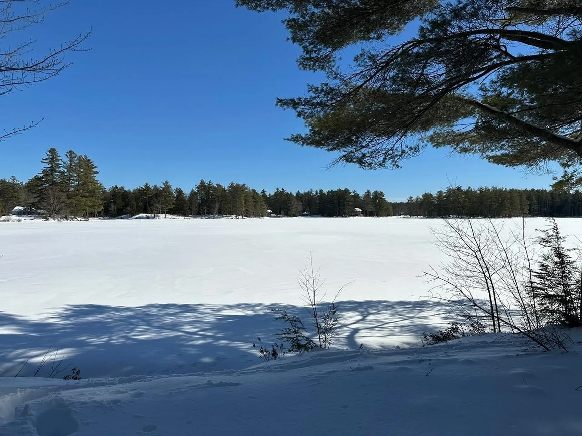 39 Pine Road Fitzwilliam NH 03447