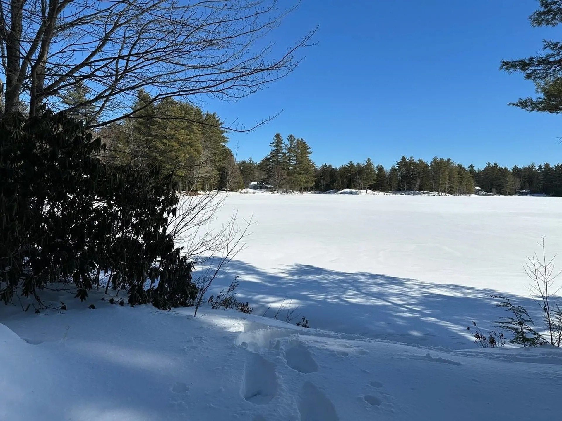 39 Pine Road Fitzwilliam NH 03447