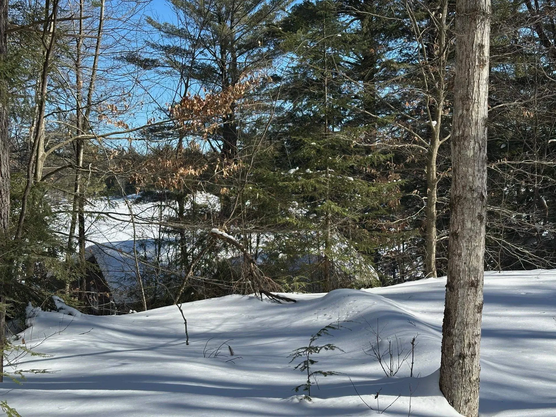 39 Pine Road Fitzwilliam NH 03447