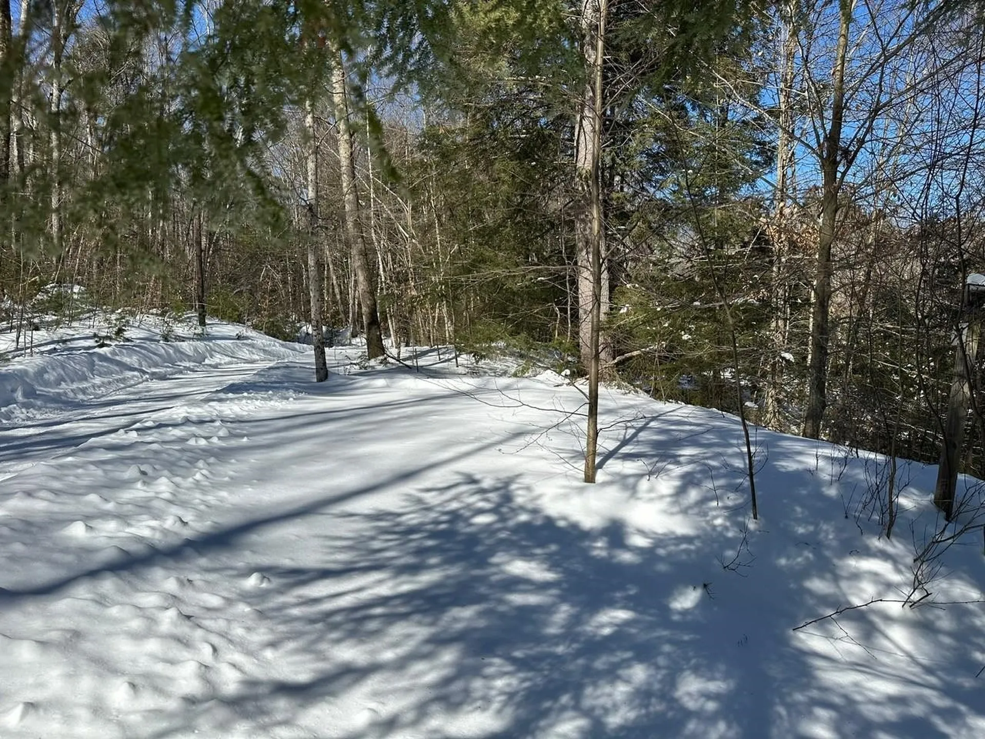 39 Pine Road Fitzwilliam NH 03447