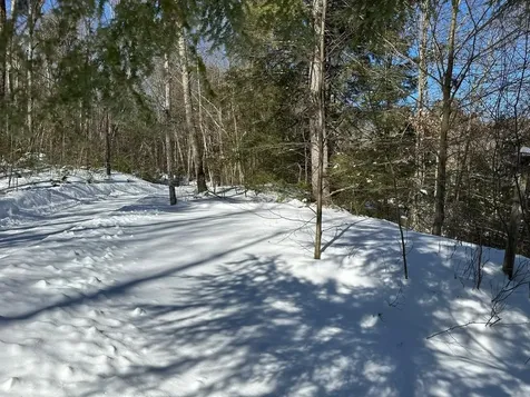 39 Pine Road Fitzwilliam NH 03447