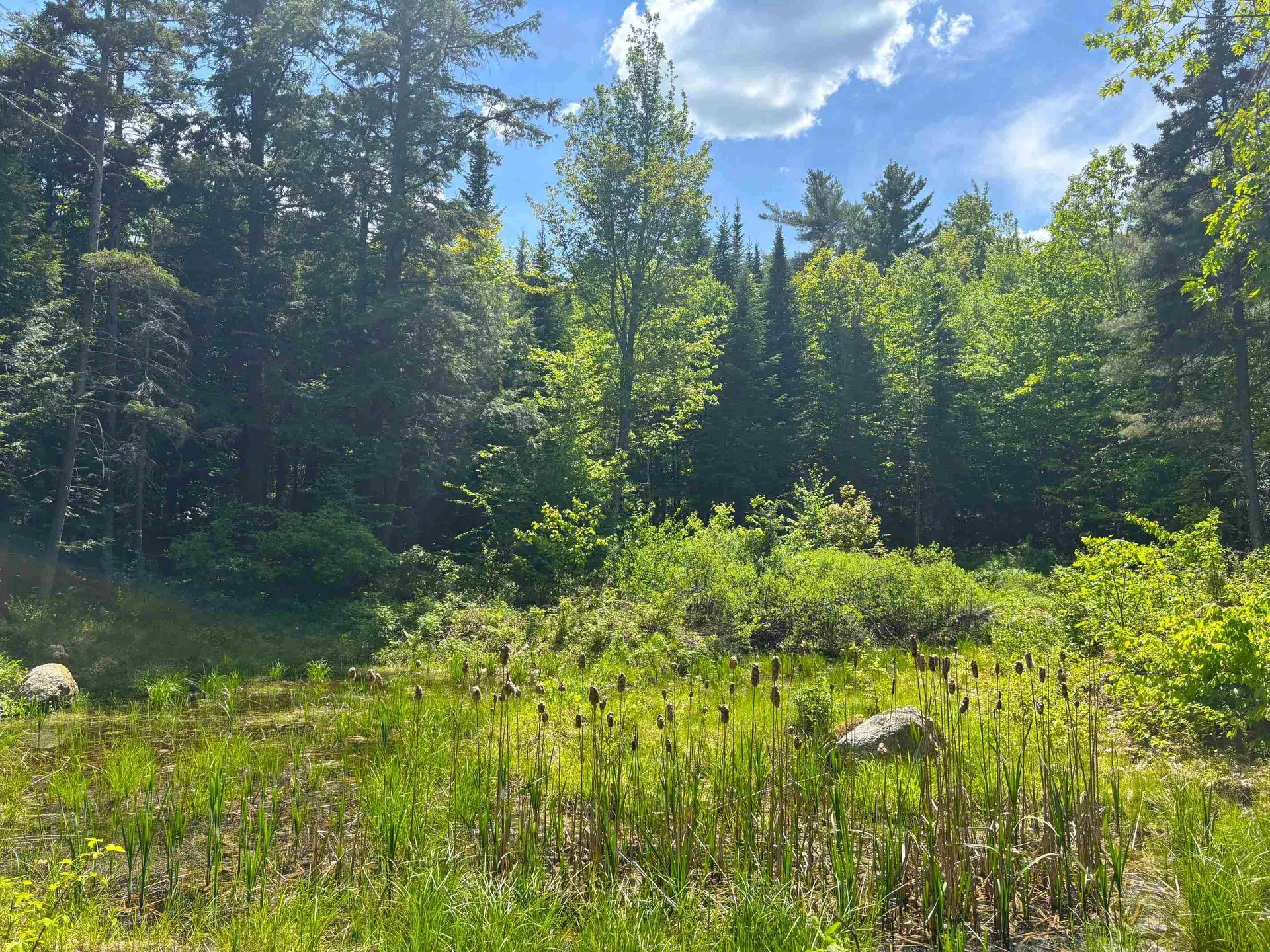 Lot 16 Granite Hill Road Wilmot NH 03287