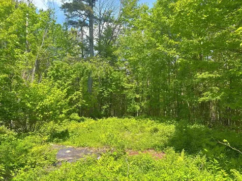 Lot 16 Granite Hill Road Wilmot NH 03287