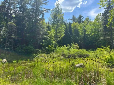 Lot 16 Granite Hill Road Wilmot NH 03287
