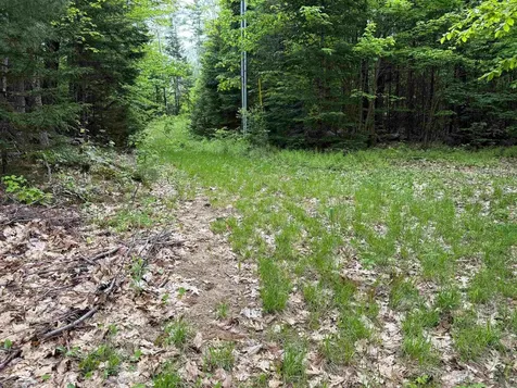 Lot 16 Granite Hill Road Wilmot NH 03287