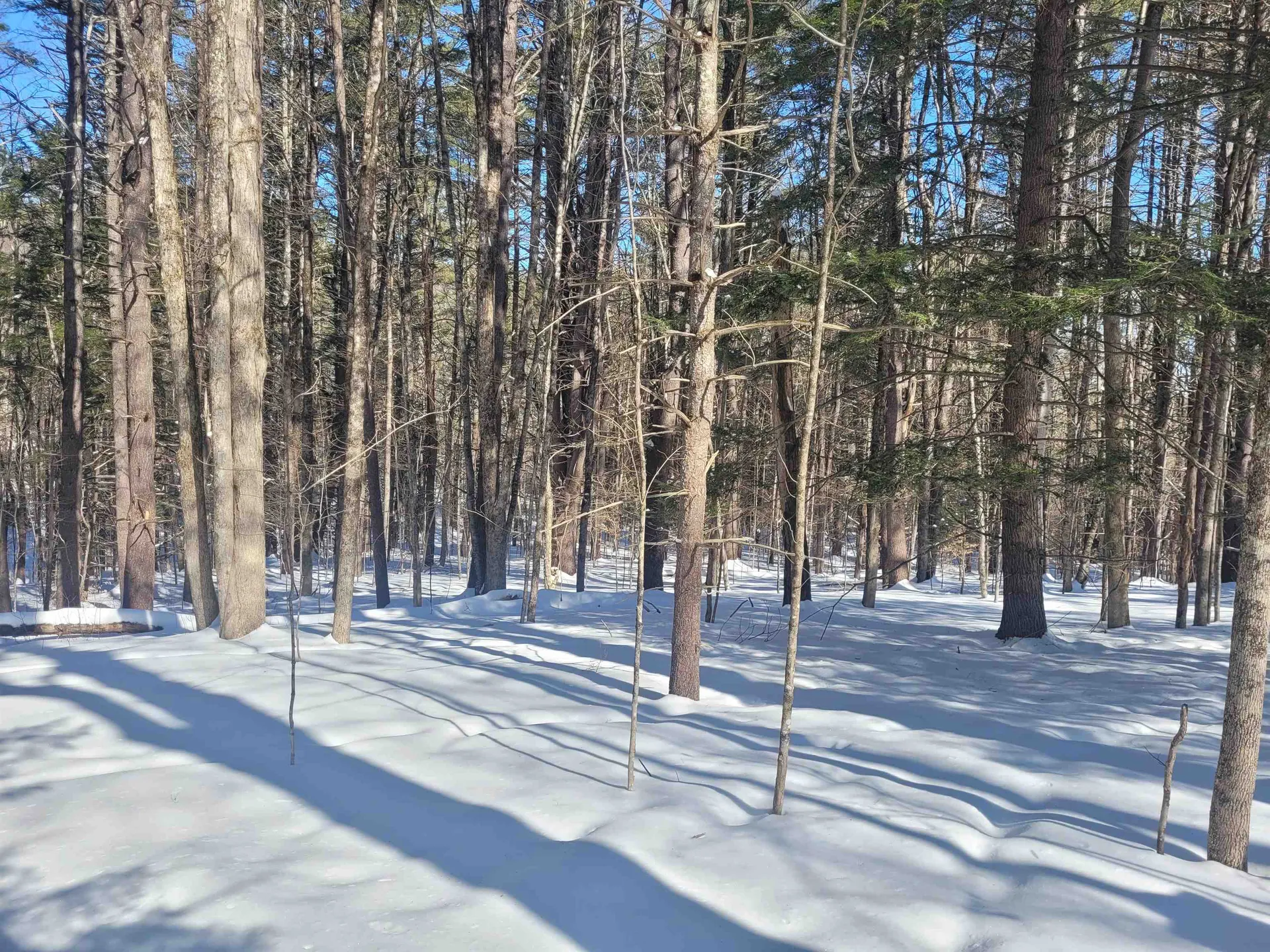 0 Hunt Road Westmoreland NH 03467